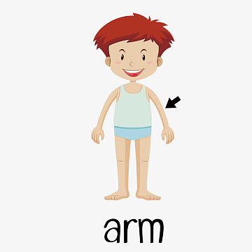手臂矢量图素材_手臂矢量图图片元素-觅元素