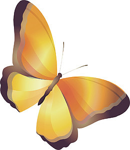 黄色美丽蝴蝶昆虫