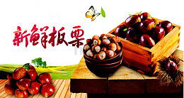 板栗海报