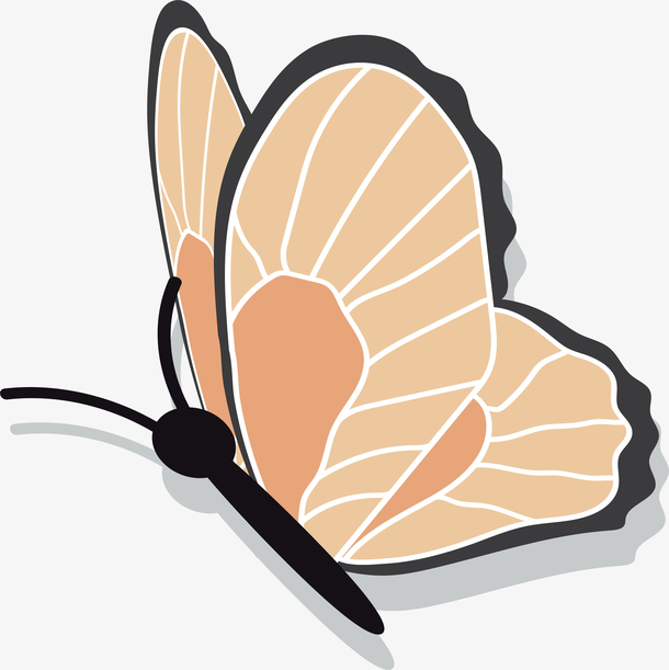 卡通蝴蝶动物插画