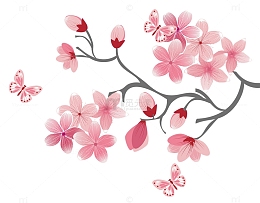 手绘装饰玉兰花素材