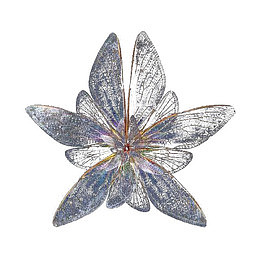 绚丽的蝴蝶变化插图