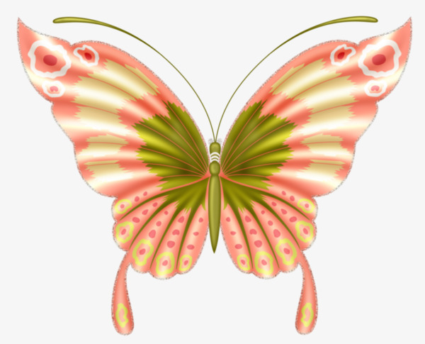 卡通彩色花蝴蝶