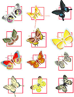 多款绚丽多彩蝴蝶矢量素材