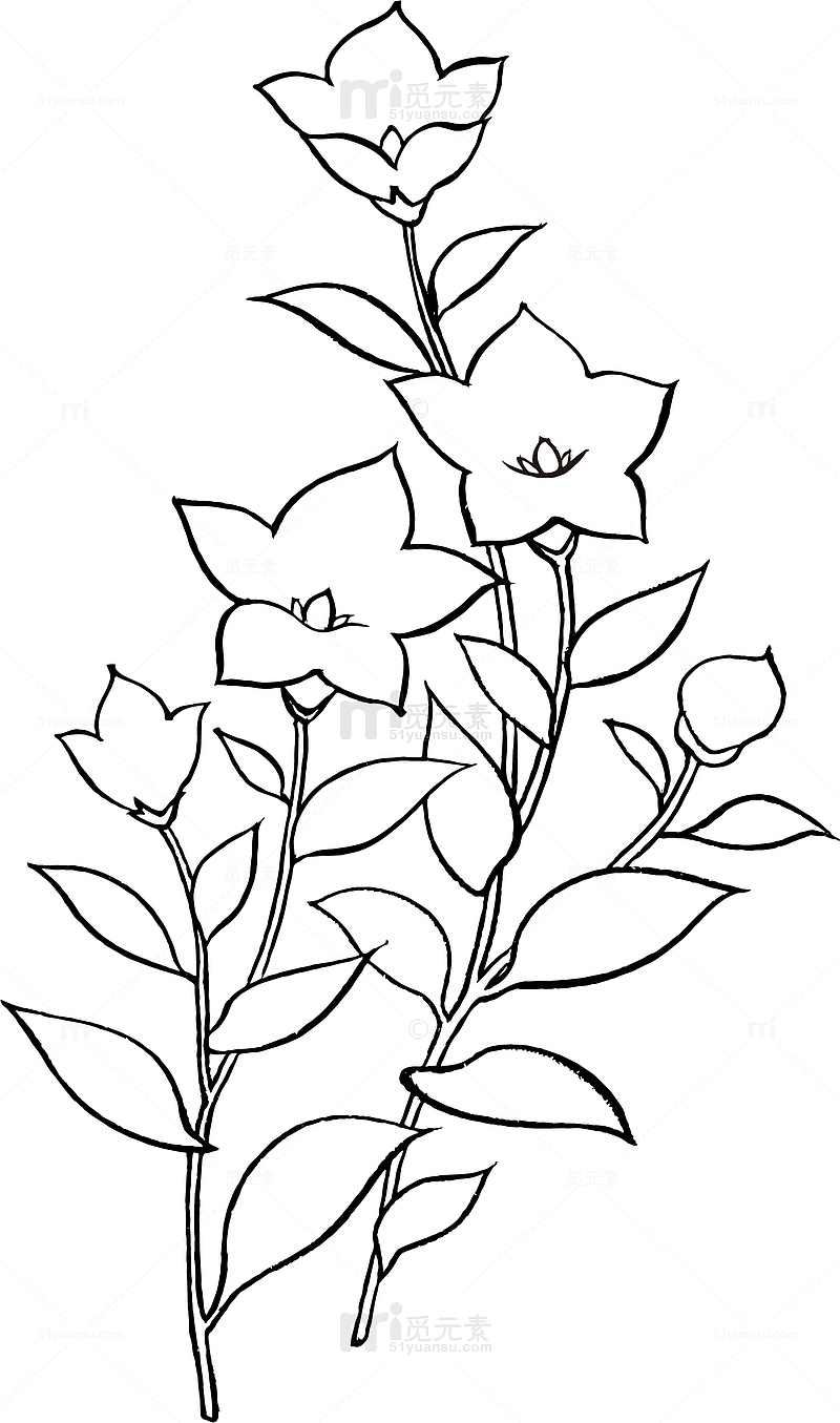 矢量手绘装饰线描花朵叶子 物图