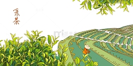 采茶插画