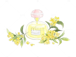手绘卡通桂花香水