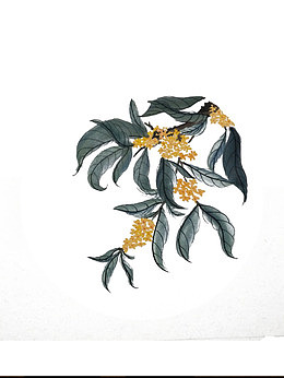 手绘卡通桂花枝条