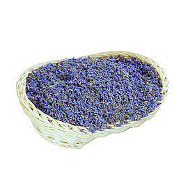 薰衣草粒免扣素材