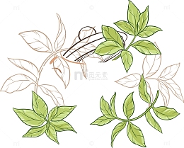 茶叶水墨新鲜茶叶