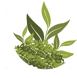 茶叶简笔画矢量茶叶