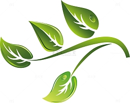 茶叶简笔画新鲜茶叶