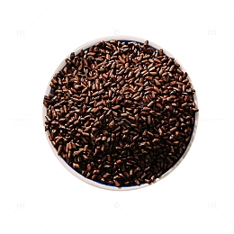 产品实物保健决明子茶