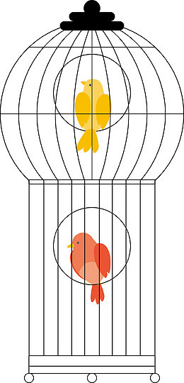 鸟笼和花仙鹤鸟笼
