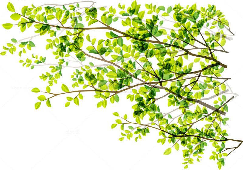 绿色植物数字素材免费下载_觅元素