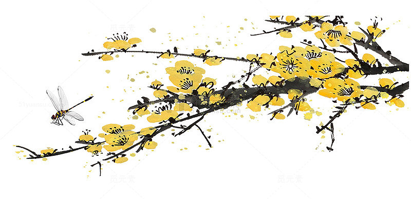 黄色梅花