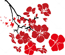 盛开的梅花