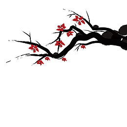 梅花素材