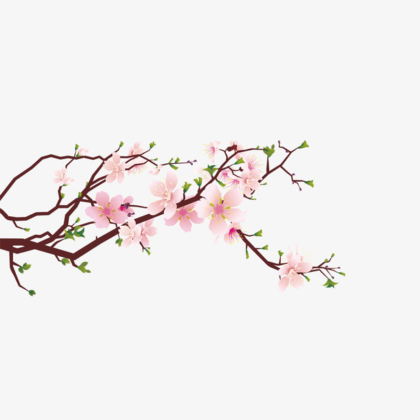 粉色梅花插画设计