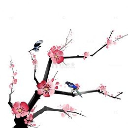 高清一支寒梅花开