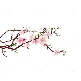 粉色梅花插画设计