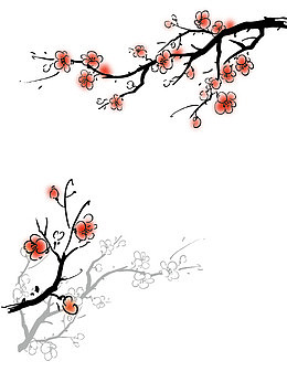 国画风格梅花简笔画