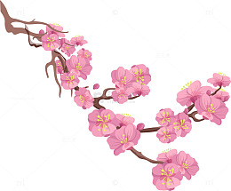 硕大的梅花