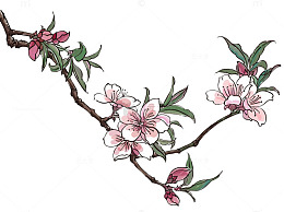 一枝梅花卡通素材图片