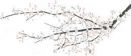 梅花雪花