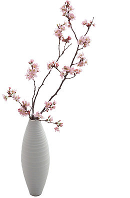 花瓶