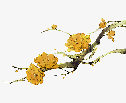 金色的梅花免抠素材(1268x1898)psdpng2018狗年大吉(3543x1772)png