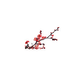 好看的梅花图案