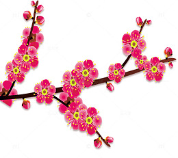 红色中国风梅花花瓣