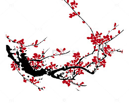 一枝红色的梅花