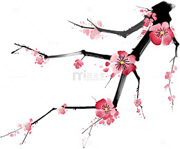 一只梅花