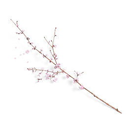 一枝梅花卡通插画