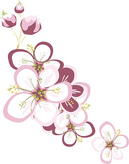 彩色潮流色彩梅花简笔画