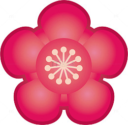 五边形梅花