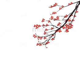 免抠手绘冬天里的梅花