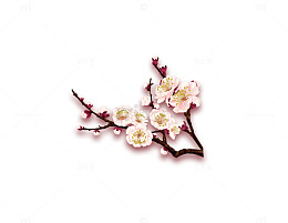 梅花png素材