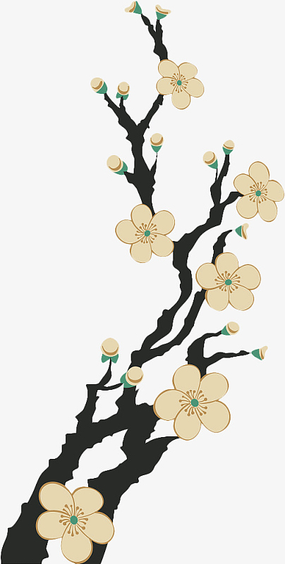 手绘黄色梅花