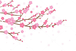 渐变的梅花