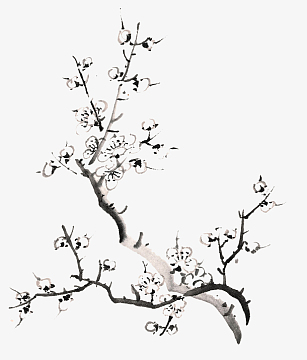 黑色中国风水墨画梅花