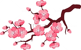 粉色的梅花