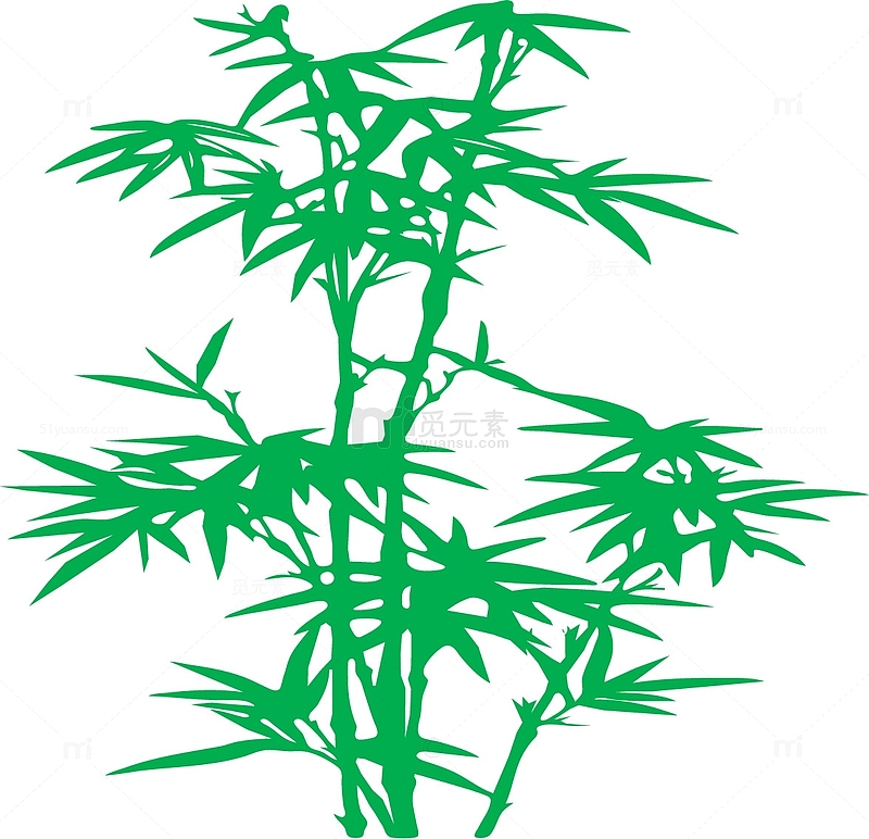 竹子栽种