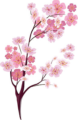 矢量图梅花桂花枝