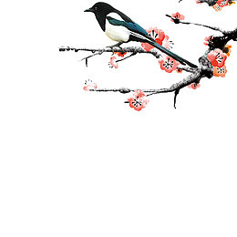 梅花喜鹊素材