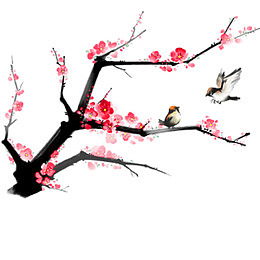 梅花素材