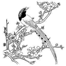 梅花简笔画黑白图透明png