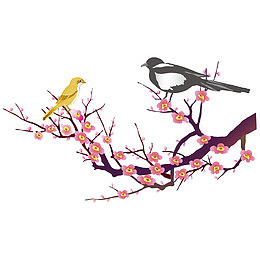 梅花树上的黄梅鸟
